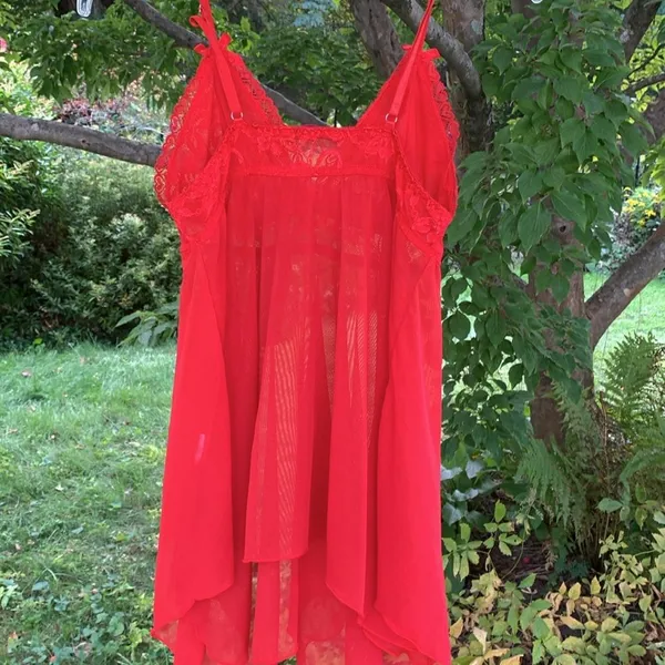 Source Unknown Red lace lingerie, M - Image 4