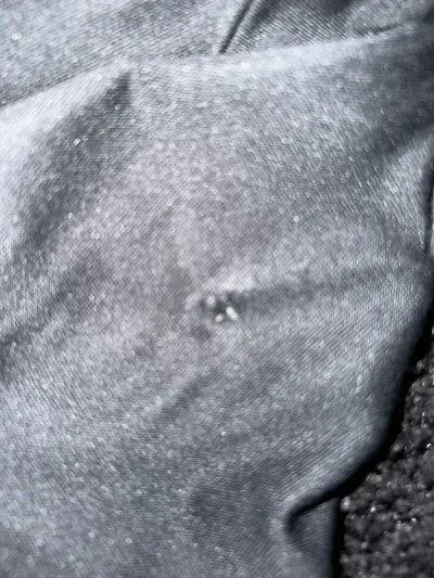 Sweatpants Joggers - Image 4
