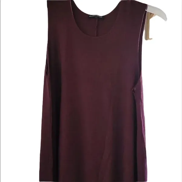 ✨ Brandy Melville Alena Swing Dress in Burgundy✨ - Image 4