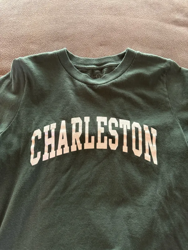 Brandy Melville Charleston t shirt - Image 2