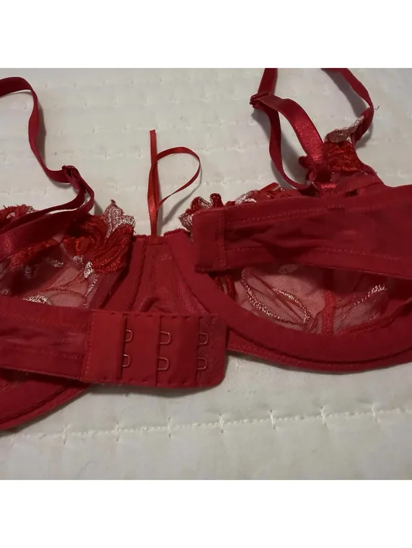 Victoria’s Secret Red Embroidery Mesh Sheer Unlined Bra 34C Underwire - Image 4