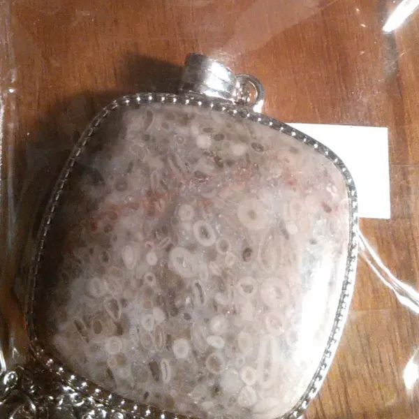 Ocean Fossil Jasper Inlay Frame Silvertone Pendant Stainless Steel Necklace - Image 8