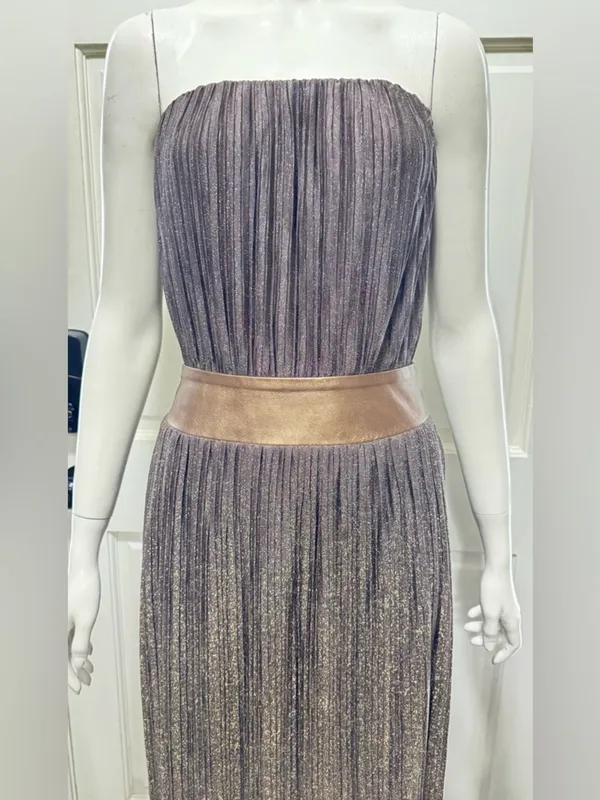 Dress the Population TUBE Metallic Brown Pleated Maxi Dress Wide Belt Sz M C-27 - Image 7