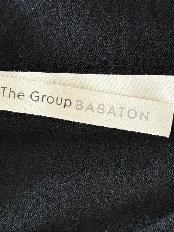 Aritzia Babaton Rodin joggers M - Image 6