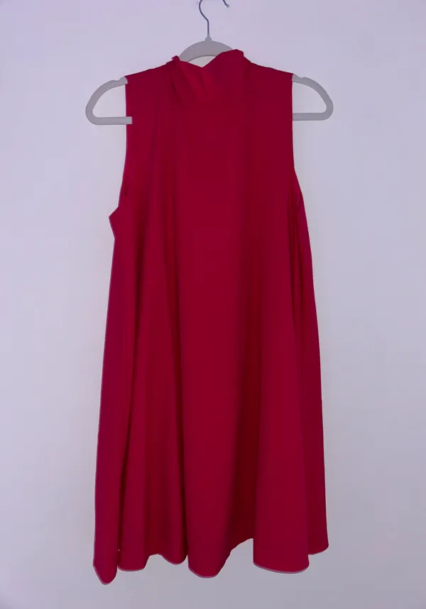 Pink Dress - Image 4