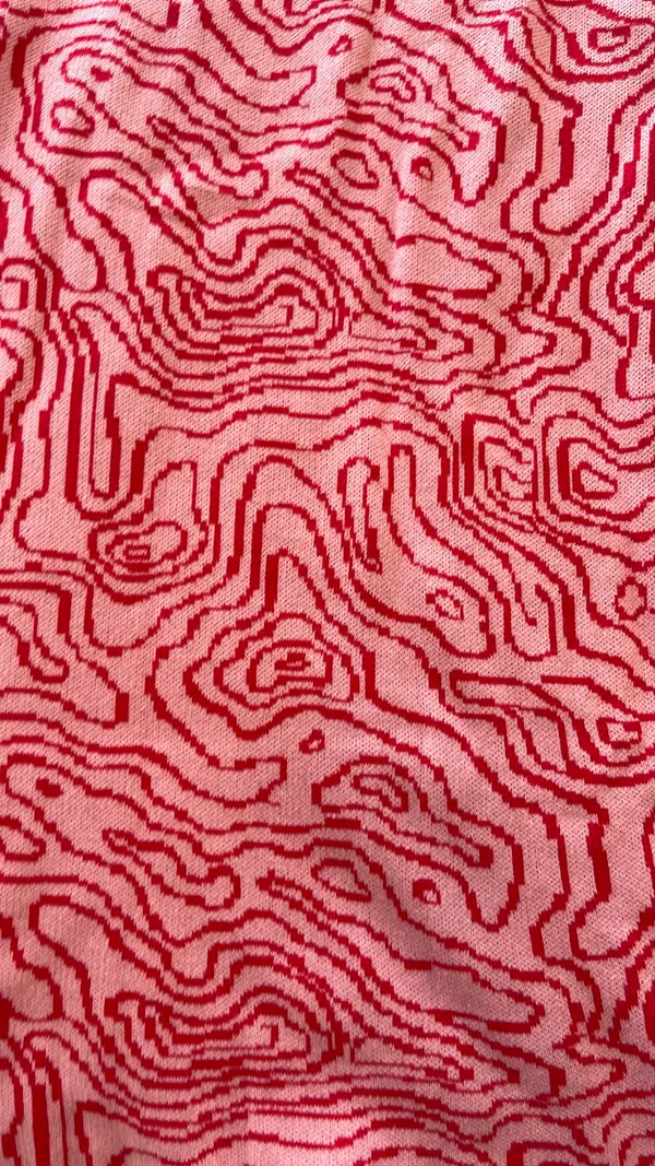 VICI Midi Pink And Red Printed Dress - Image 4