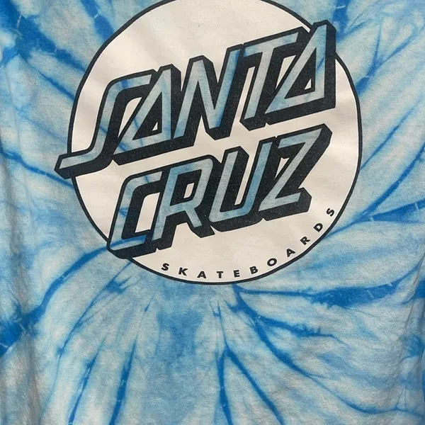 Santa Cruz Skateboards Blue Oversized Long Sleeve Tee - Image 4