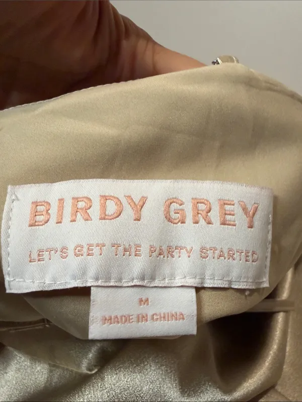 Birdy Grey NWT Lisa Long Shiny Satin Dress Neutral Champagne Size M - Image 5
