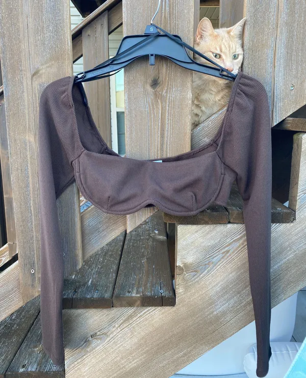 Princess Polly Becca Long Sleeve Crop Top Brown - Image 2