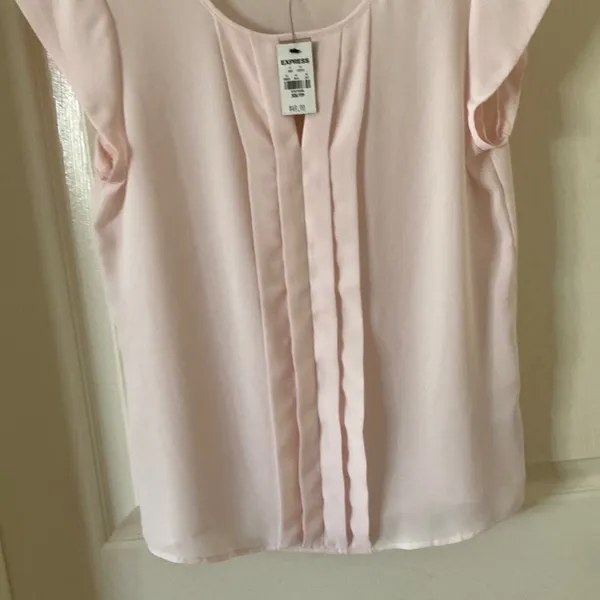 EXPRESS Blouse Work Top Pale Pink Size XS Notch Pleat Business Formal Shirt NWT - Image 4