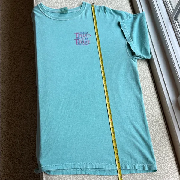 Comfort Colors “Tried and True” Lab Puppy Dog Aqua Short Sleeve T-Shirt size 2XL - Image 8