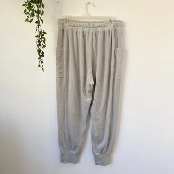 Aerie OFFLINE After Party Velour Jogger Sz M - Image 3