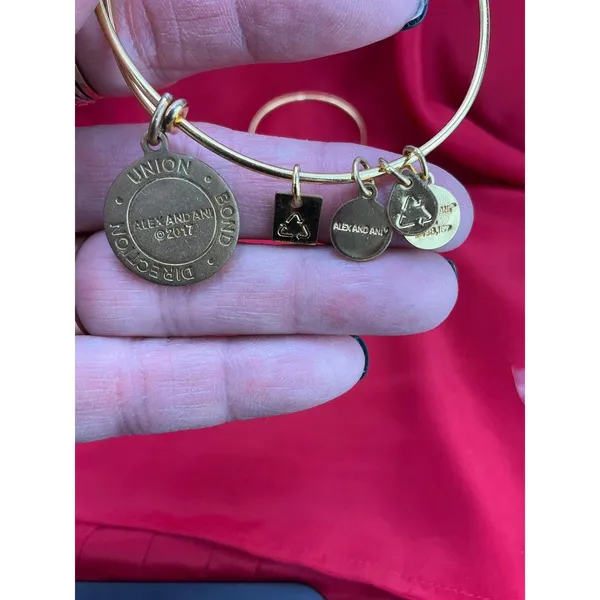 Alex and Ani Bangle Bracelet Lot 6pc‎ Nautical Lobster Fish Anchor Gold Silver - Image 10