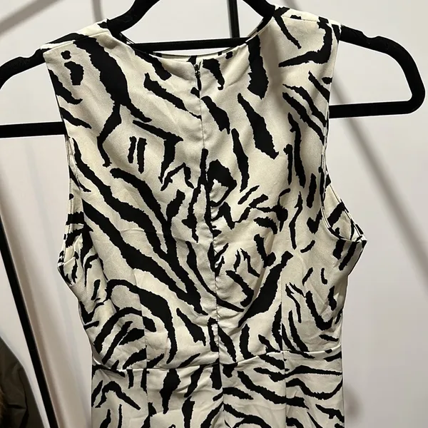 Nasty Gal Printed Zebra Maxi Dress 🦓 - Image 6