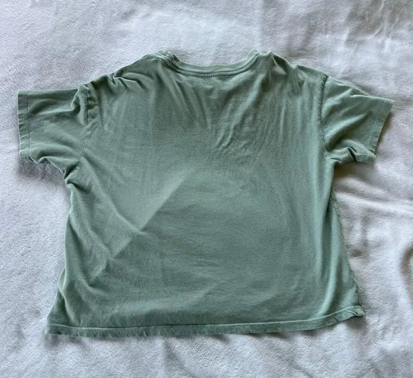 American Eagle Cropped Tee - Image 2