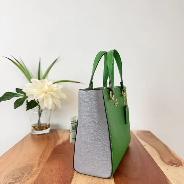 NWT Coach Alice Satchel Bag In Colorblock‎ - Image 3