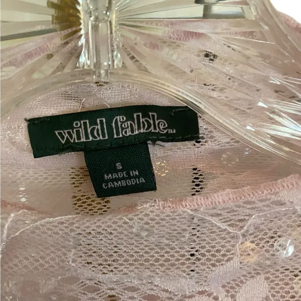 Wild Fable Pastel lace Sheer long-sleeve sequin mock neck coquette girl fairy - Image 7