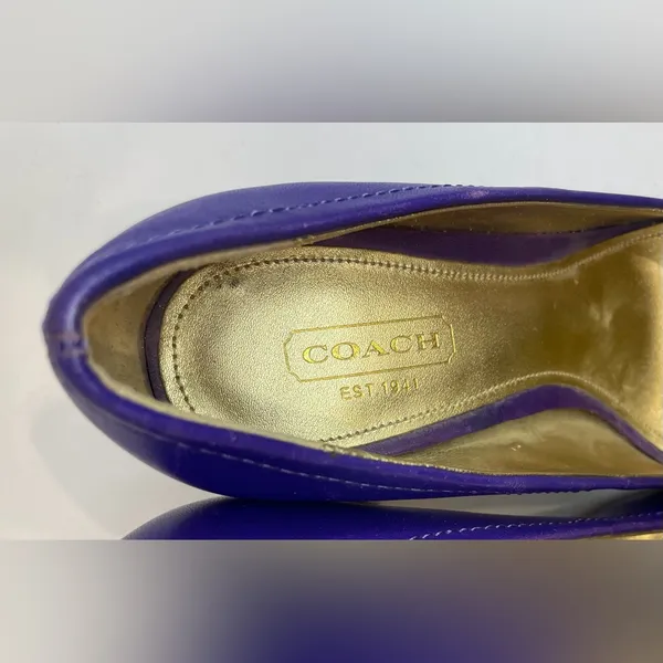 Coach Desaree Purple Bock‎ Heel Pumps Gold Hook Buckle Accent Heels Size 6 B - Image 8