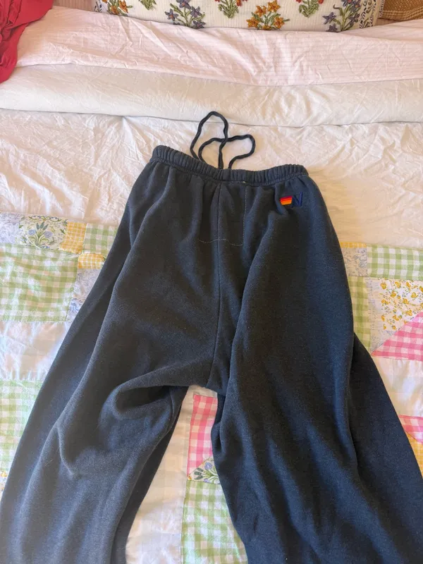 Aviator Nation Sweatpants - Image 3
