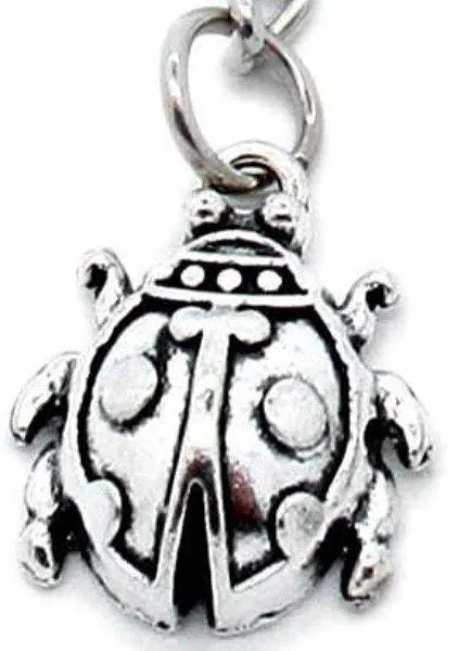 Personalized Double Sided Photo Keychain. Includes Heart Shape Silver Medal Keychain Spring Snap Clip with Lady Bug. - Image 3