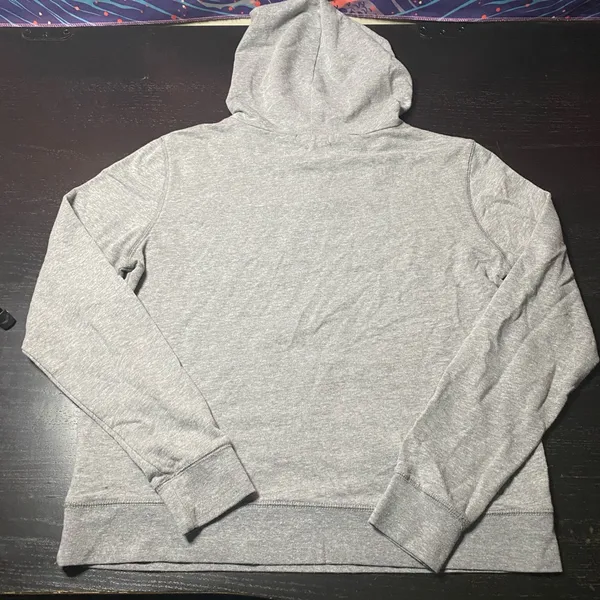 Gray Dog Lover Hoodie - I Just Want To Hang Out With My Dog - Image 5