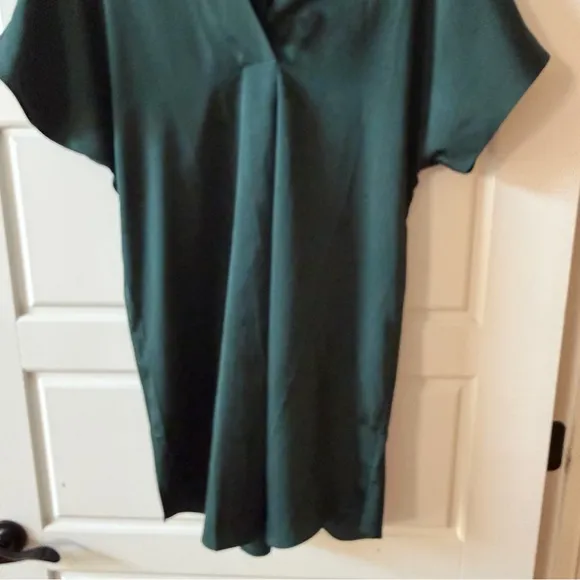 Caryn Lawn Dark Green Satin Shift Dress‎ One Size Fairy Grunge - Image 5