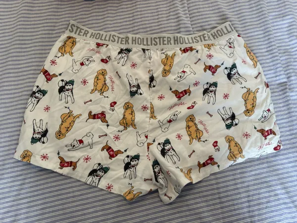 Hollister Boxer Shorts - Image 2
