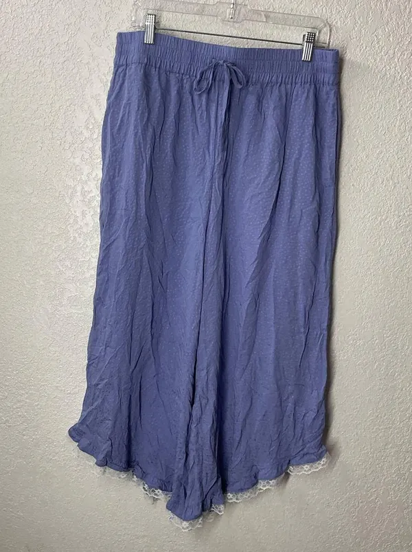 Anthropologie Periwinkle Lace Trim L - Image 3