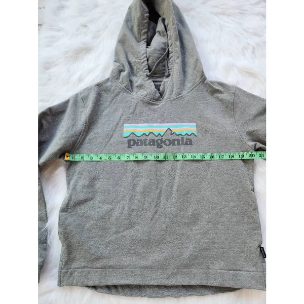 Patagonia -859 Pastel Logo Uprisal‎ Hoddie - grey - Medium - Image 5