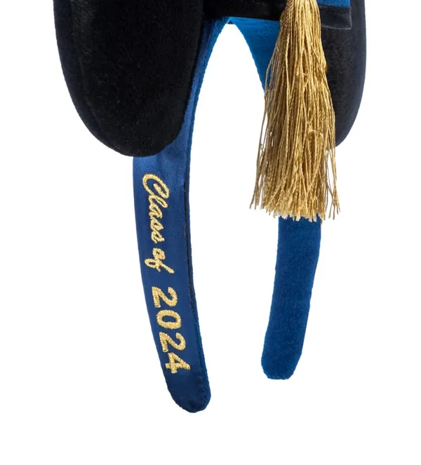 Disney Mickey Ears 2024 Graduation - Image 2
