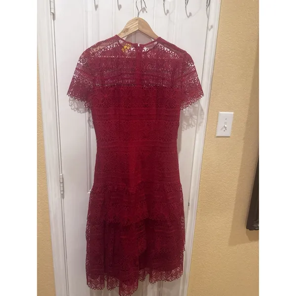 ANTONIO MELANI Red Ochre Lace Overlay Midi Dress, Mermaid-styleHem, Lined, Sz 10 - Image 3