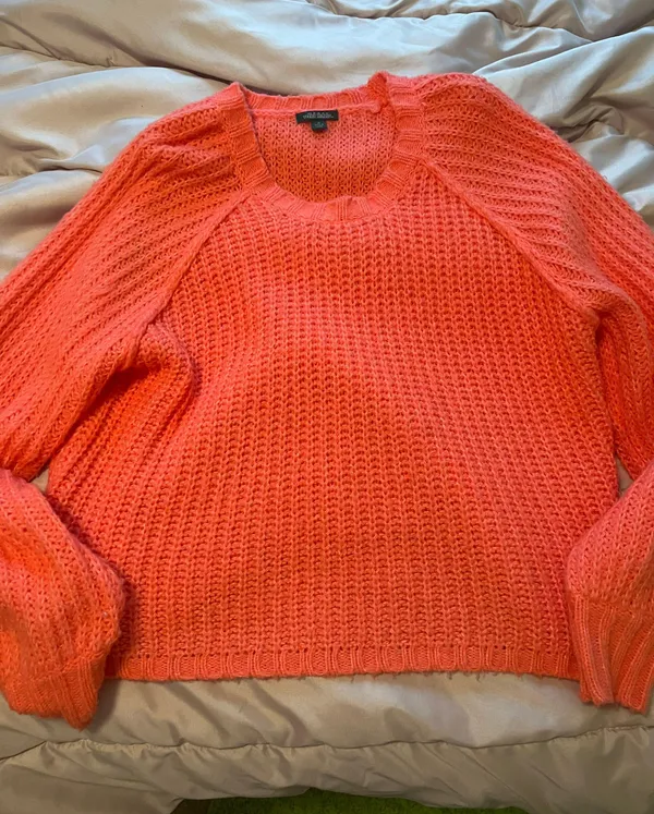 Wild Fable Target Sweater - Image 2