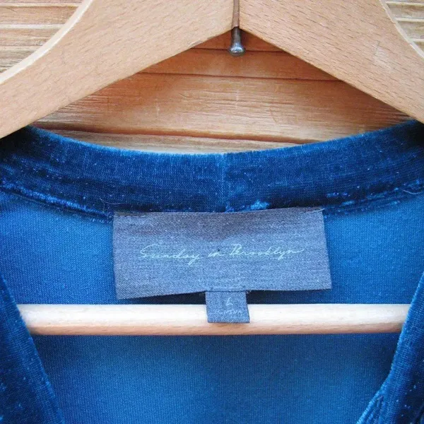 Anthro Teal Velvet Velour Top - Image 6