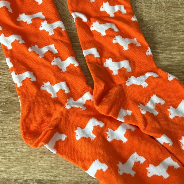 Dog print crew socks Orange - Image 2