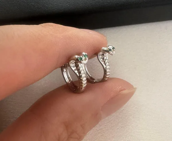 Snake Small Hoop Earrings for Men Women Streetwear Hip Hop Unisex Style - Image 5