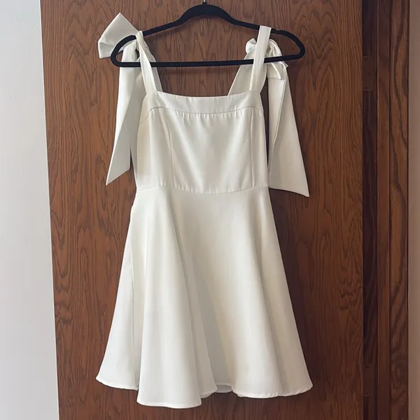 Dry Goods Bachelorette Party Mini Dress - Image 3