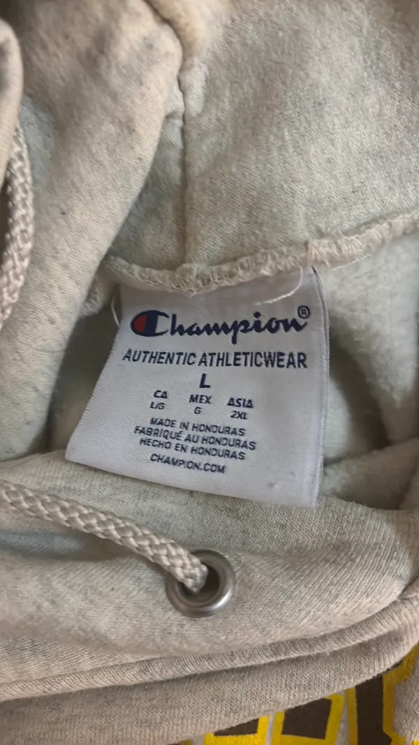 Champion Valparaiso Hoodie - Image 3