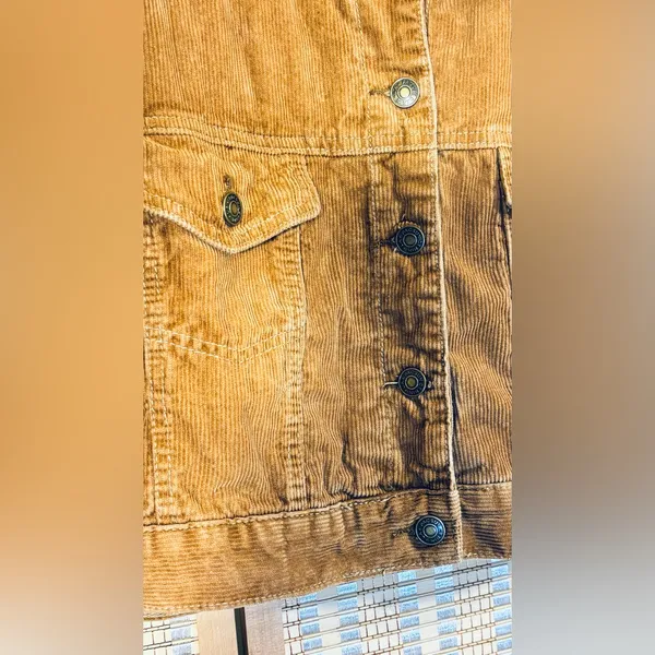 Pacsun Corduroy Cropped Jacket Flannel Lining, Button-Up, Tan, Sz M-L - Image 6