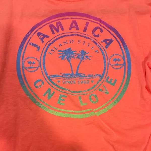 Coral Long Sleeve Pink Pineapple Tee Size Large - Image 5
