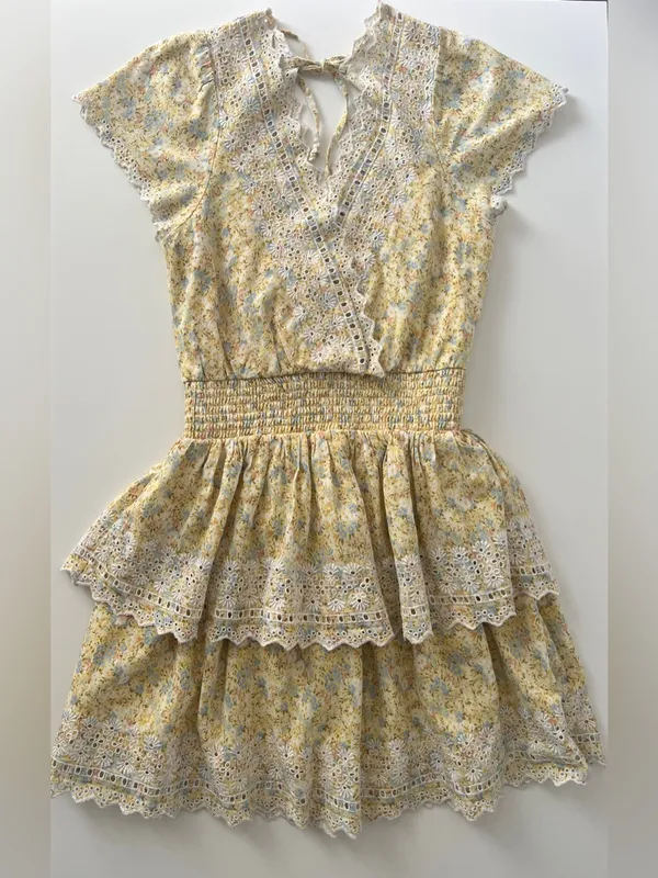 American Eagle Yellow Floral Eyelet Lace Mini Dress XS - Image 2