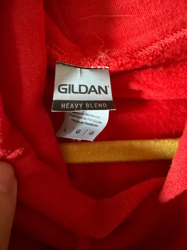 Gildan Frank Ocean Hoodie - Image 2