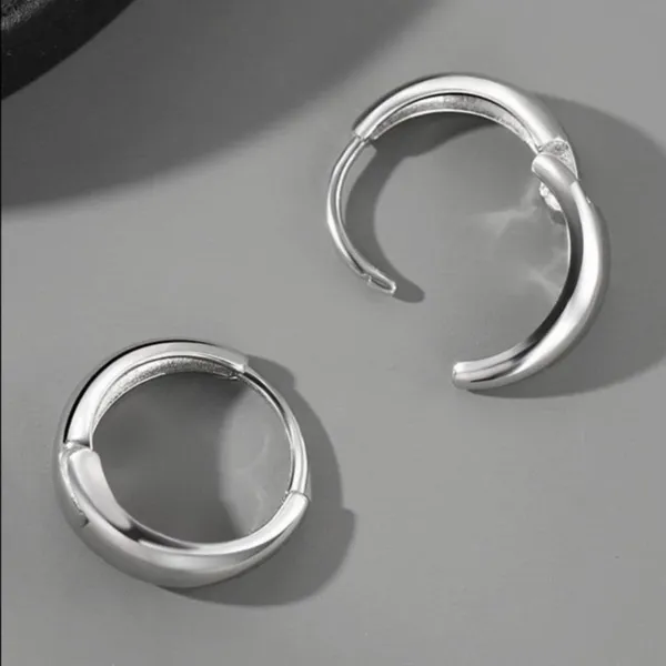 925 Silver Plated Small Hoop Earrings for Men Women, Punk Hip Hop Earrings - Image 3