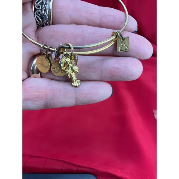 Alex and Ani Bangle Bracelet Lot 6pc‎ Nautical Lobster Fish Anchor Gold Silver - Image 8