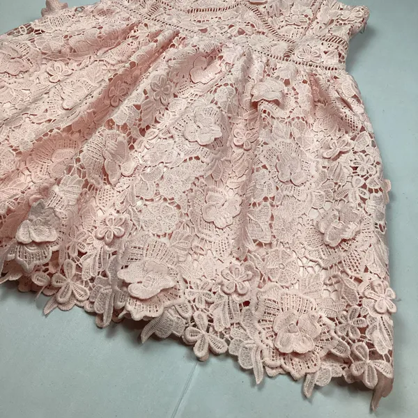 Altar’d State Silvyn Lace Mini Dress in Light Pink Sz Large NWOT - Image 3