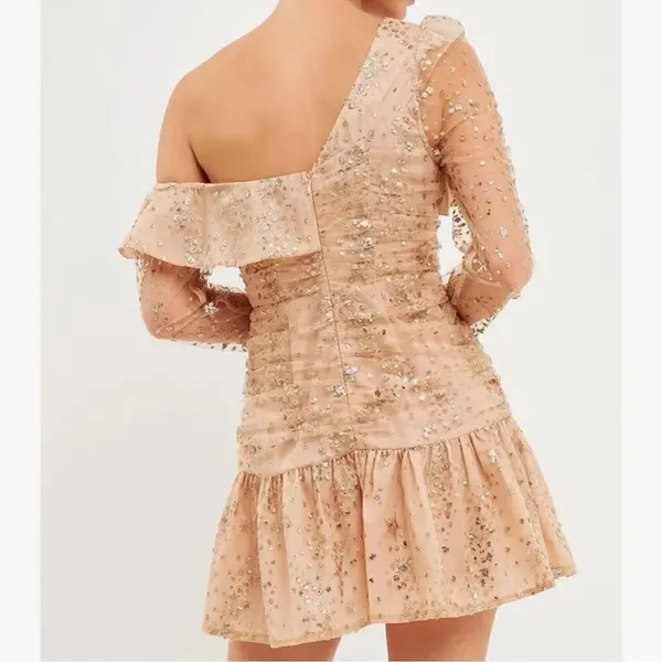 Endless Rose Sequins Mini Gold Nude Mini Dress(Size XS) - Image 2