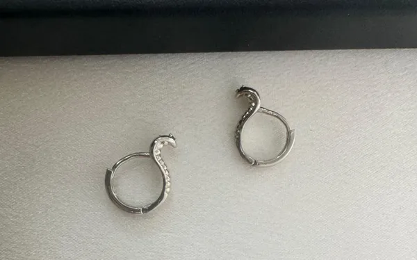 Snake Small Hoop Earrings for Men Women Streetwear Hip Hop Unisex Style - Image 4