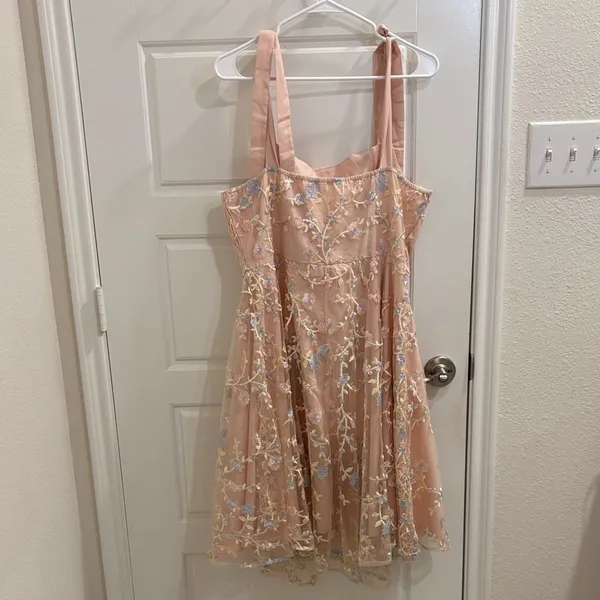 Blush Pink Floral Embroidered Mesh Dress Tie Strap Fit & Flare XXL - Image 3