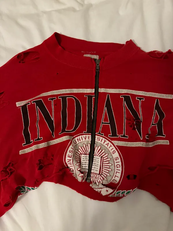 LF Stores Furst of a Kind Vintage Distressed Cropped Sweatshirt Indiana Hoosiers - Image 2