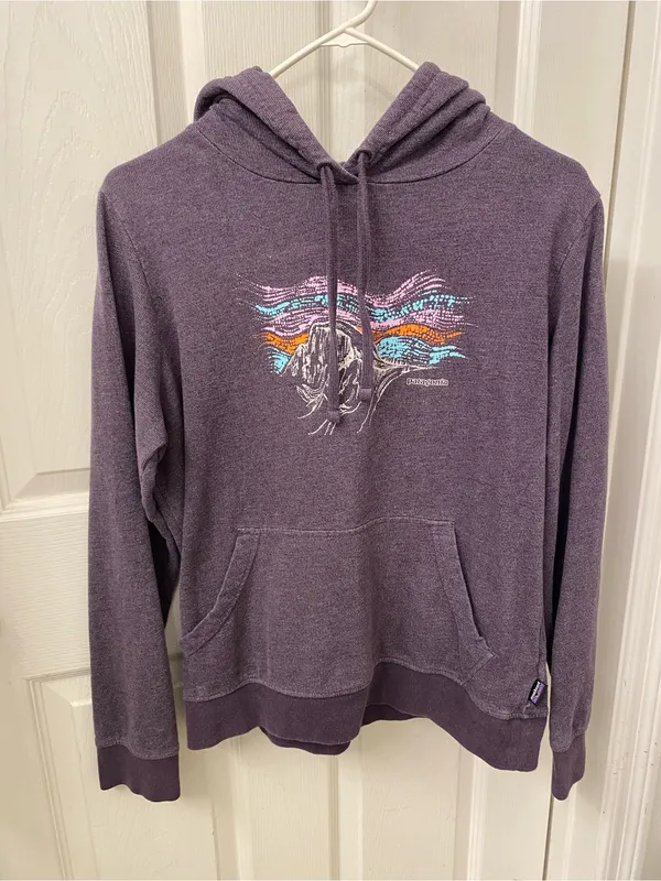 Patagonia Women's Plum Pullover Hoodie with Mountain Graphic organic cotton - Image 3