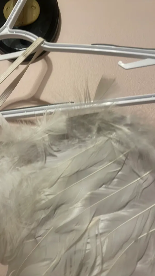 Angel Wings White - Image 2